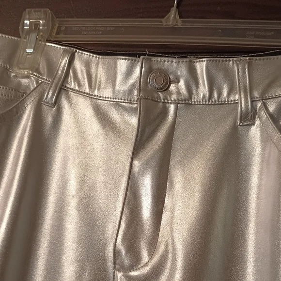 Shiny Silver Pants - Picture 2 of 9